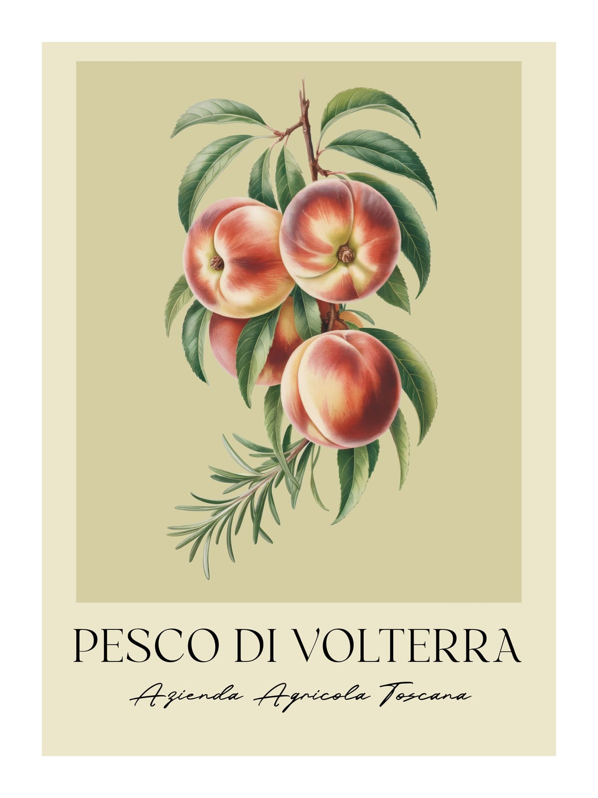variant-30x40_with-margin