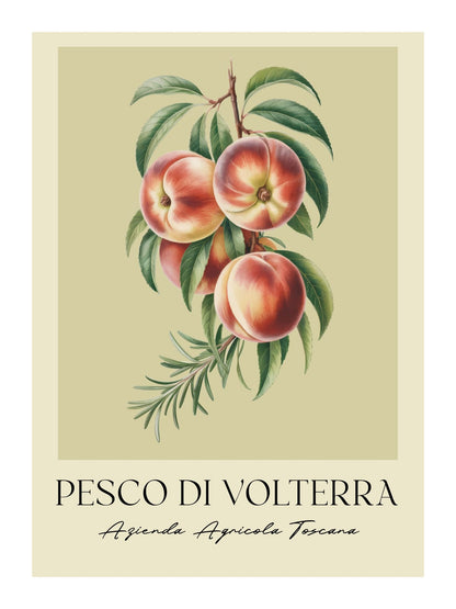 variant-30x40_with-margin