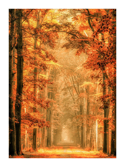 variant-30x40_with-margin