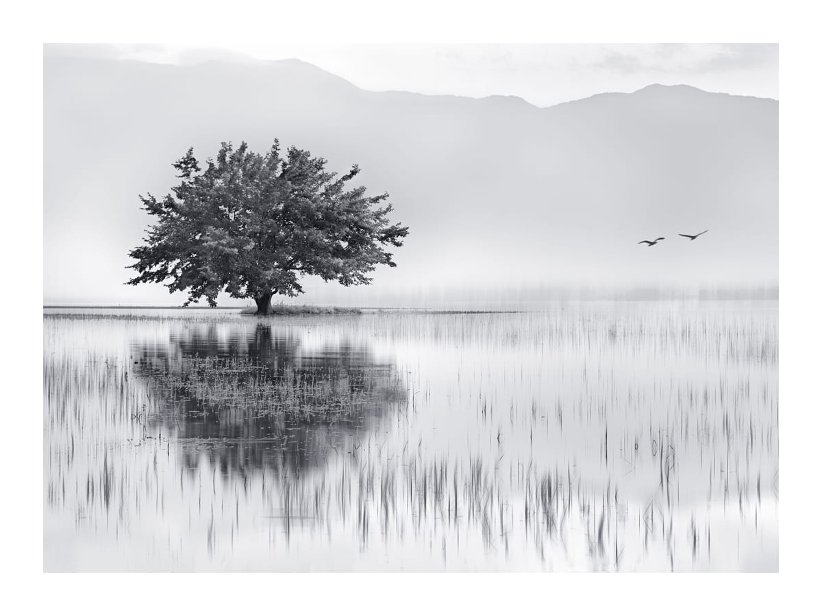 variant-30x40_with-margin