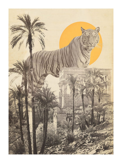 variant-30x40_with-margin
