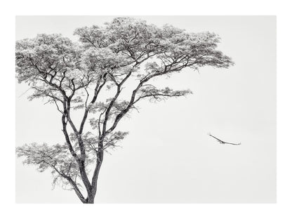 variant-30x40_with-margin
