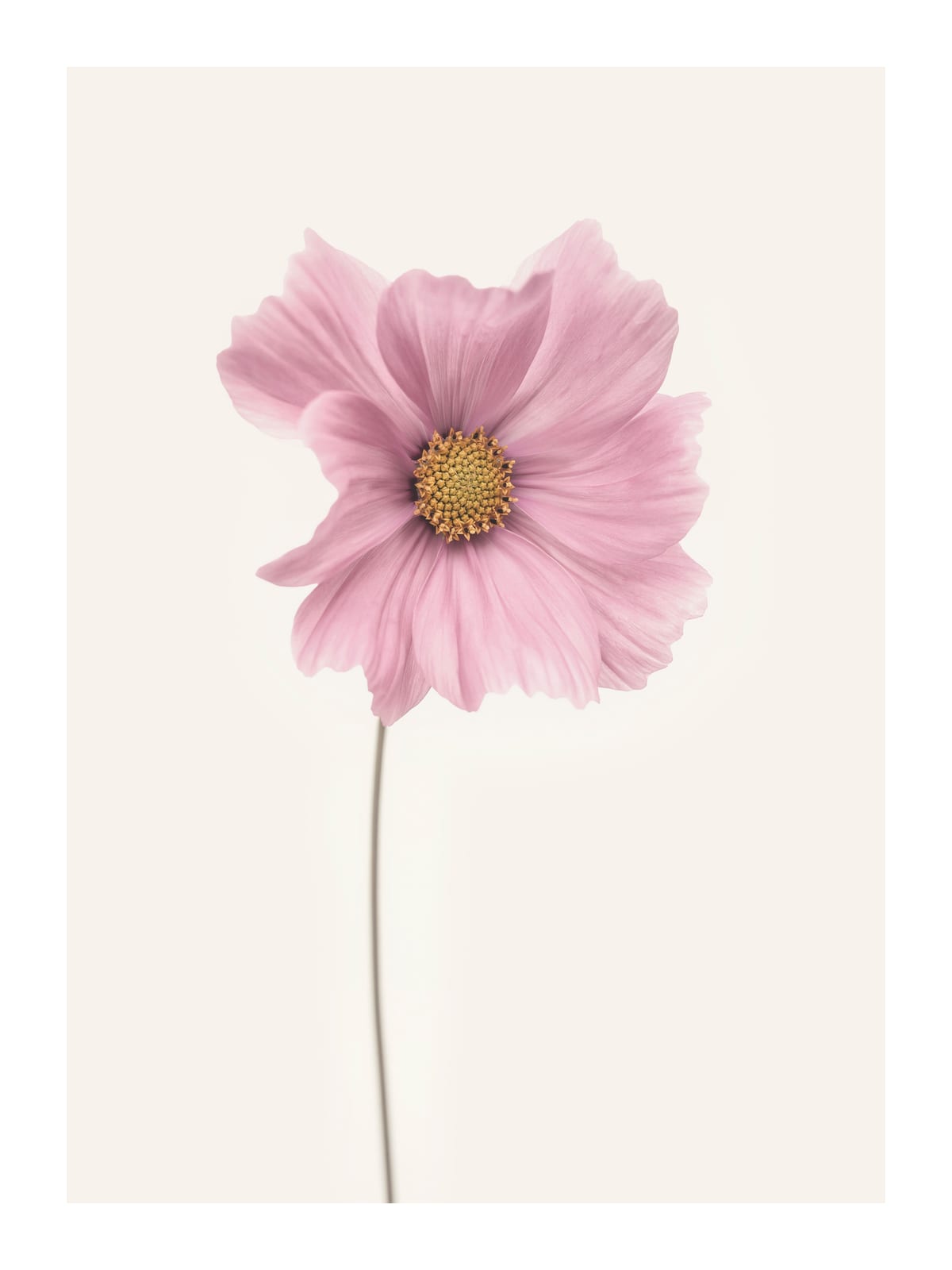 variant-30x40_with-margin