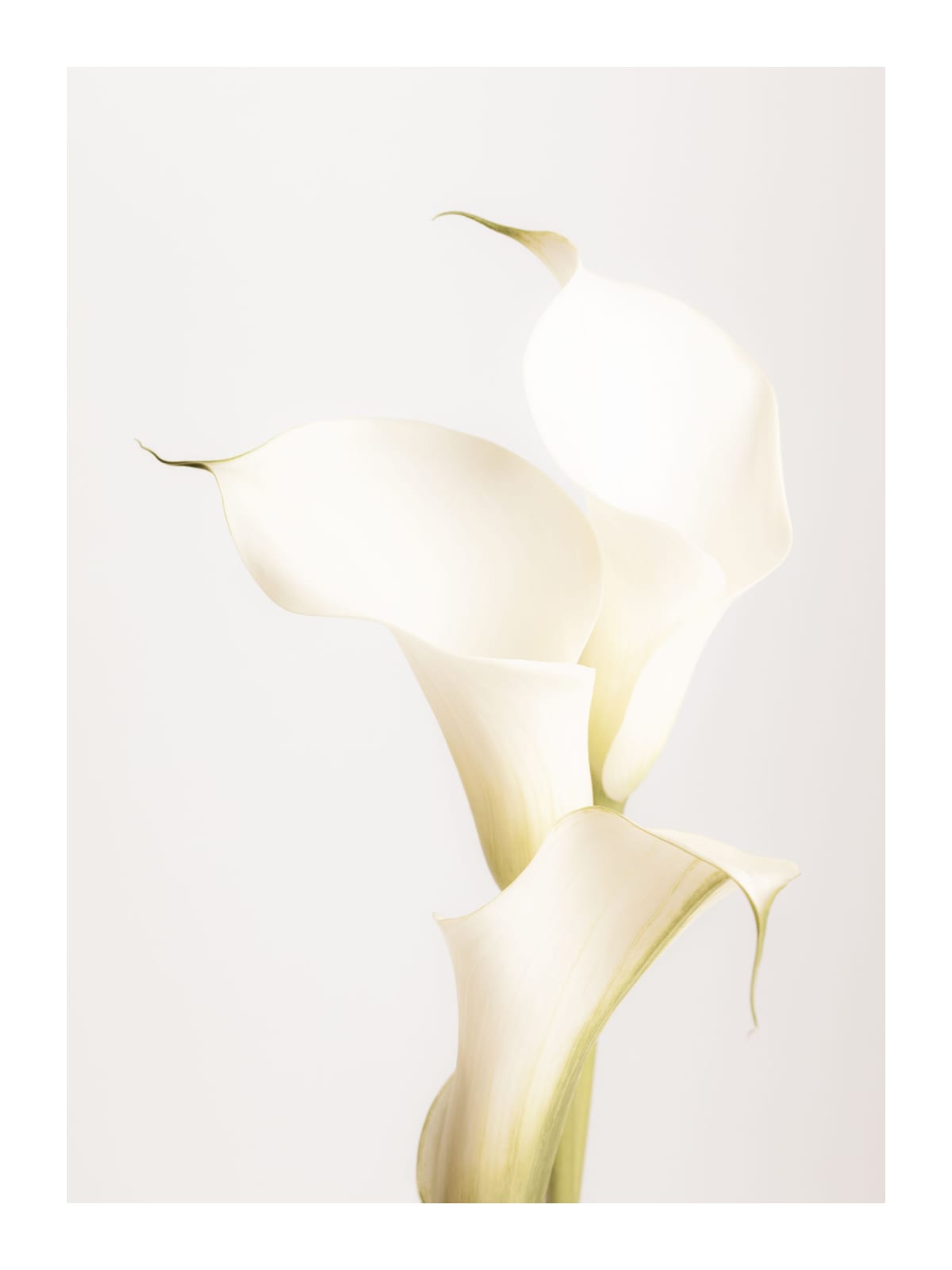 variant-30x40_with-margin