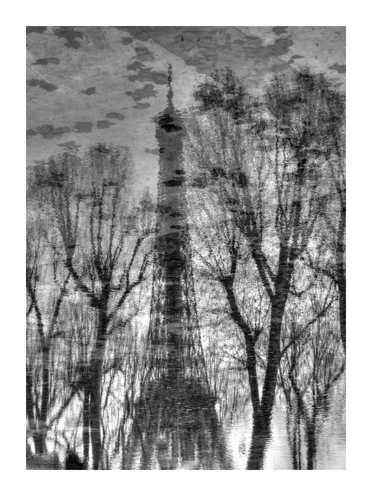 variant-30x40_with-margin