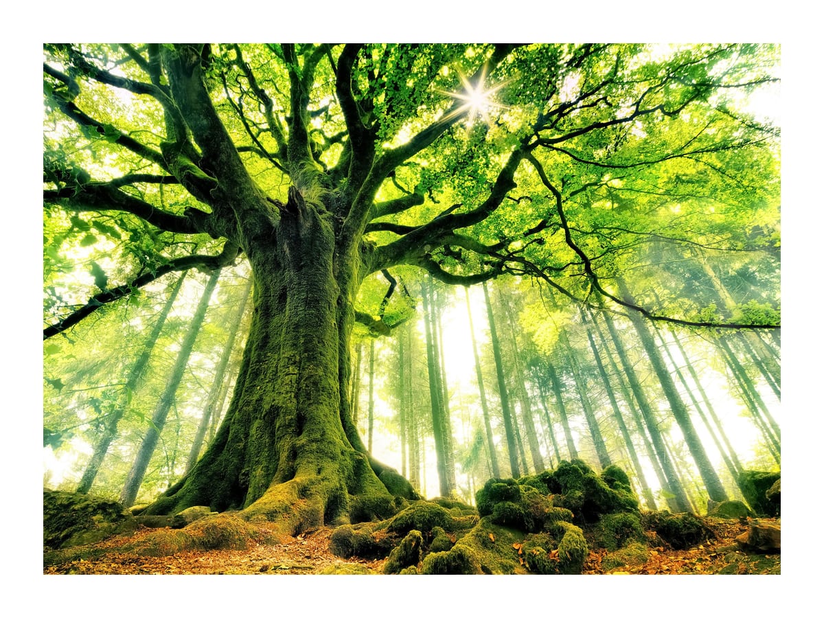 variant-30x40_with-margin