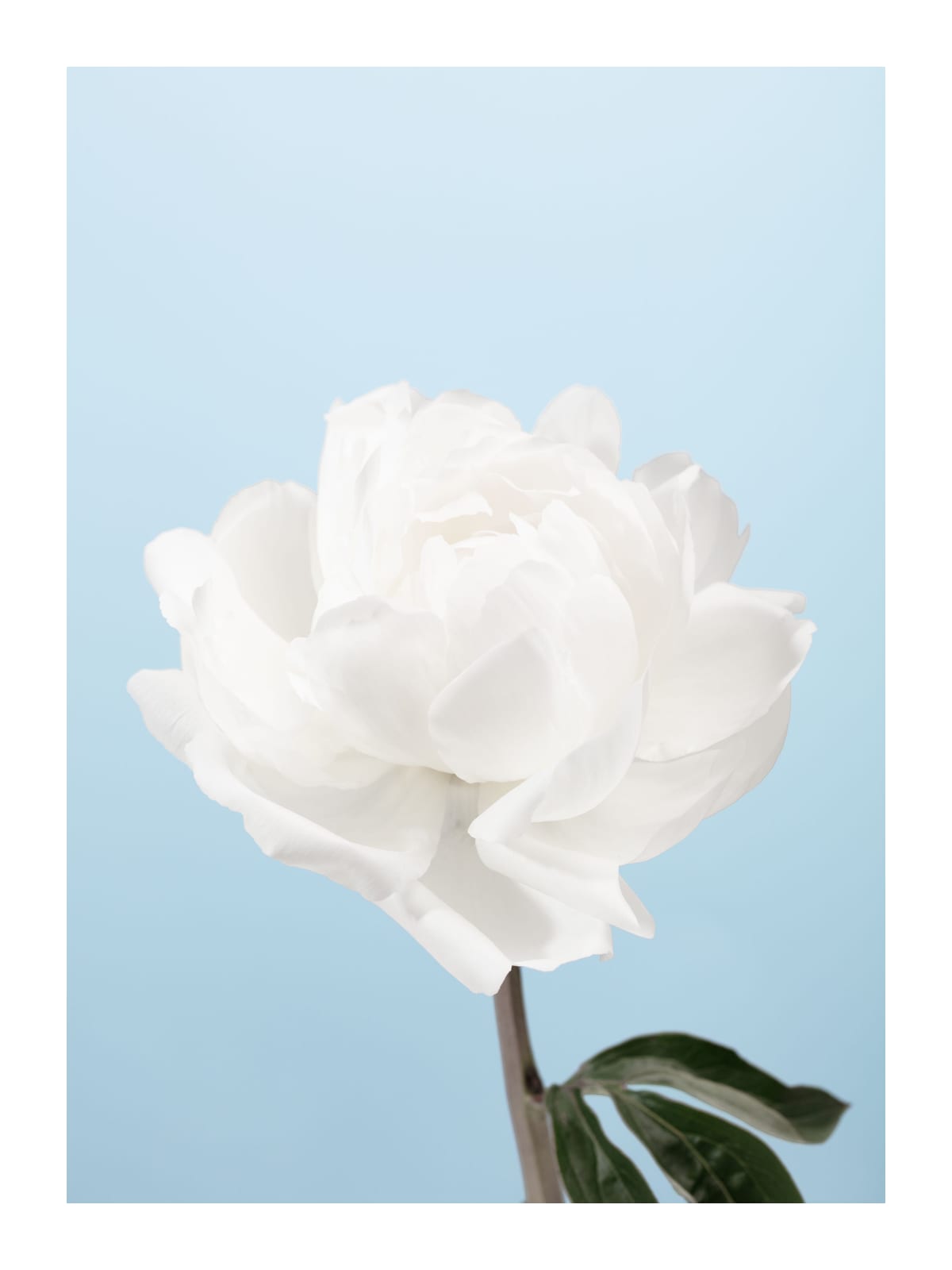 variant-30x40_with-margin