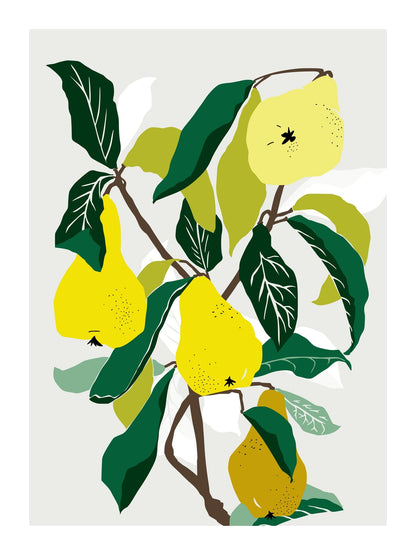 variant-30x40_with-margin