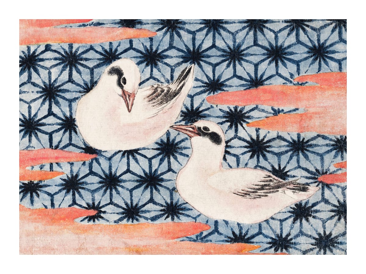 variant-30x40_with-margin