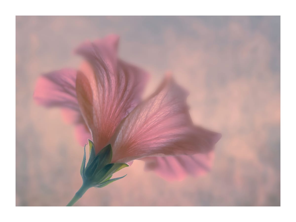 variant-30x40_with-margin