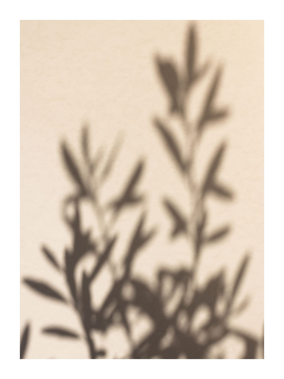 variant-30x40_with-margin