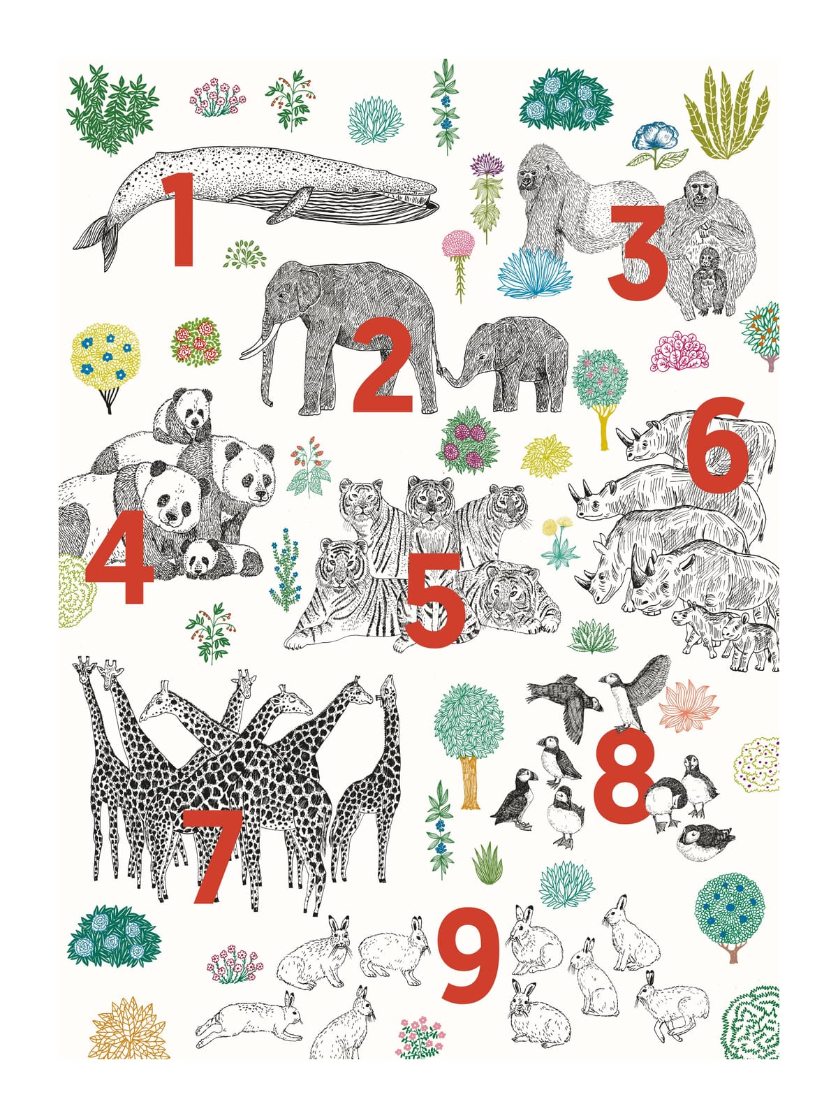 variant-30x40_with-margin