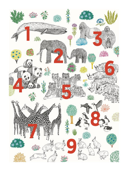 variant-30x40_with-margin