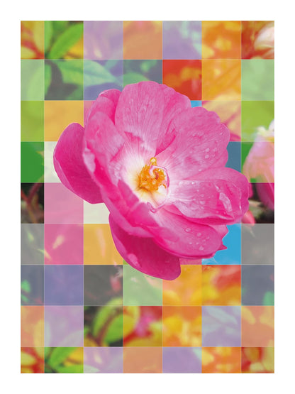 variant-30x40_with-margin