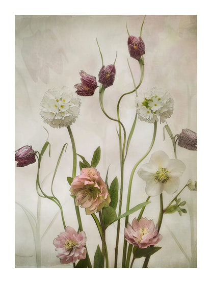 variant-30x40_with-margin