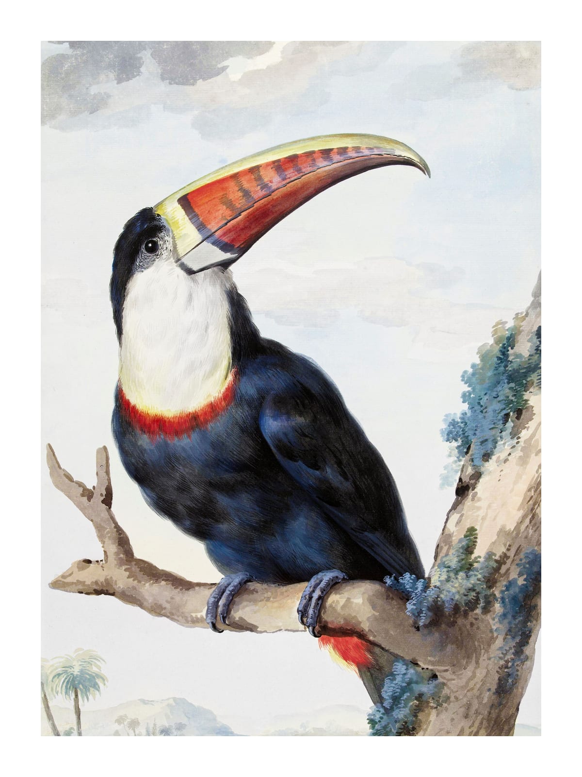 variant-30x40_with-margin