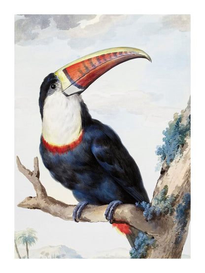 variant-30x40_with-margin