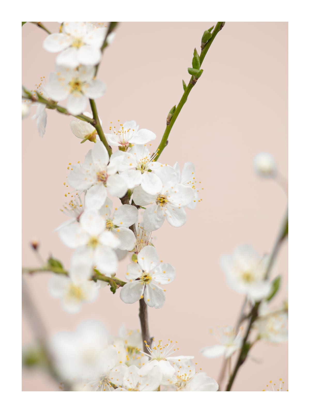 variant-30x40_with-margin