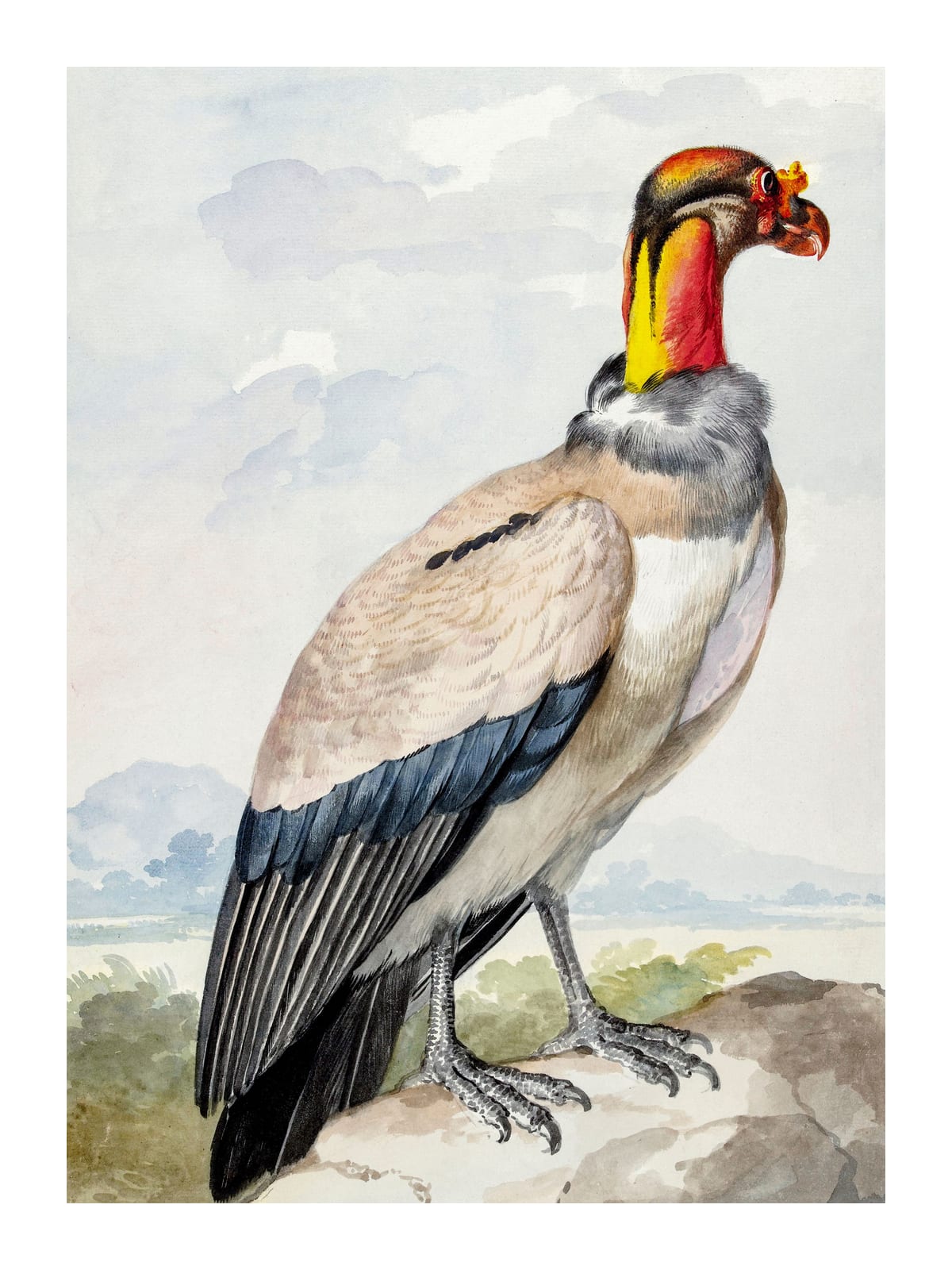 variant-30x40_with-margin