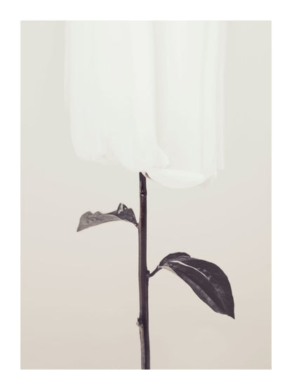 variant-30x40_with-margin