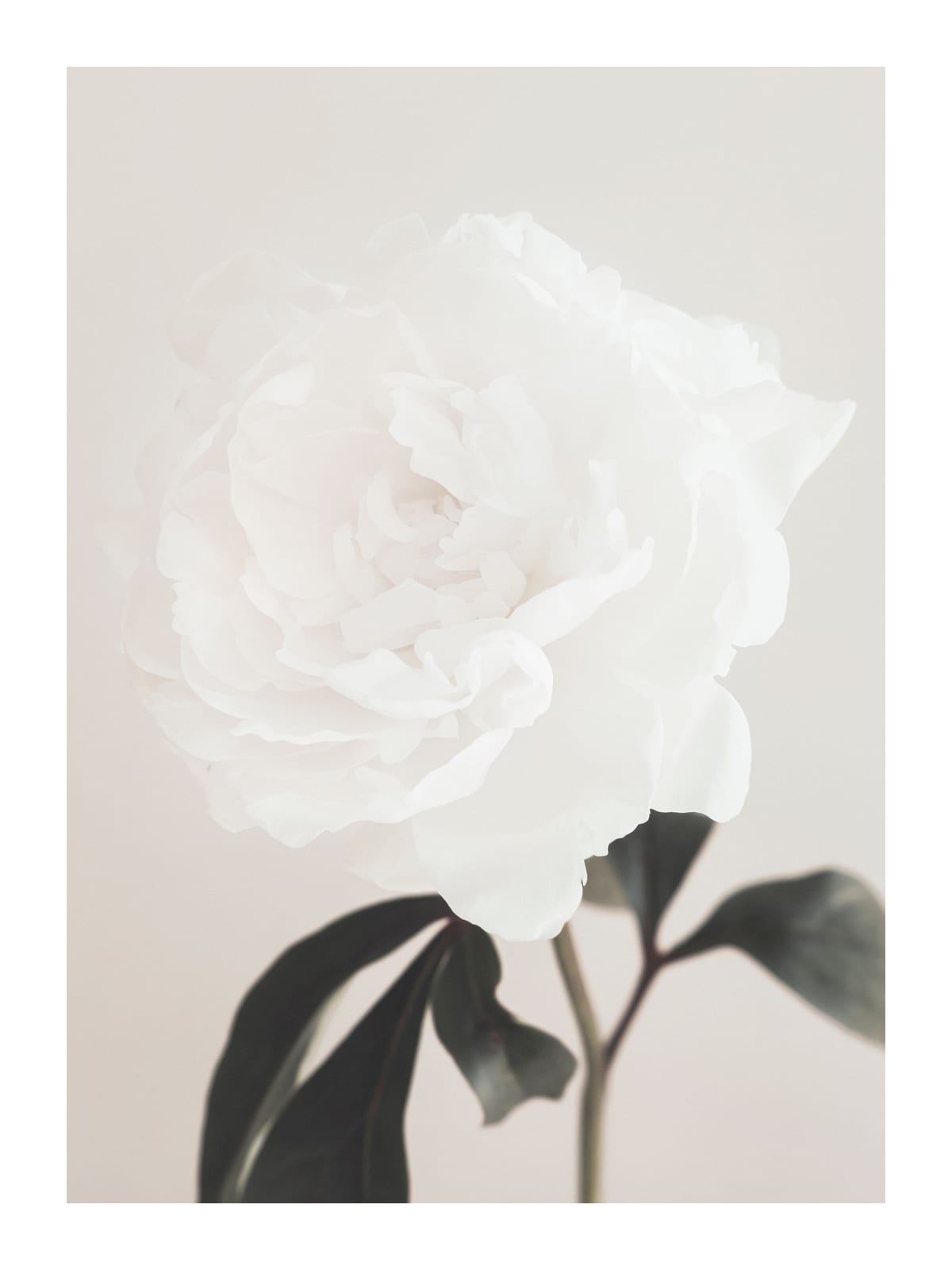 variant-30x40_with-margin