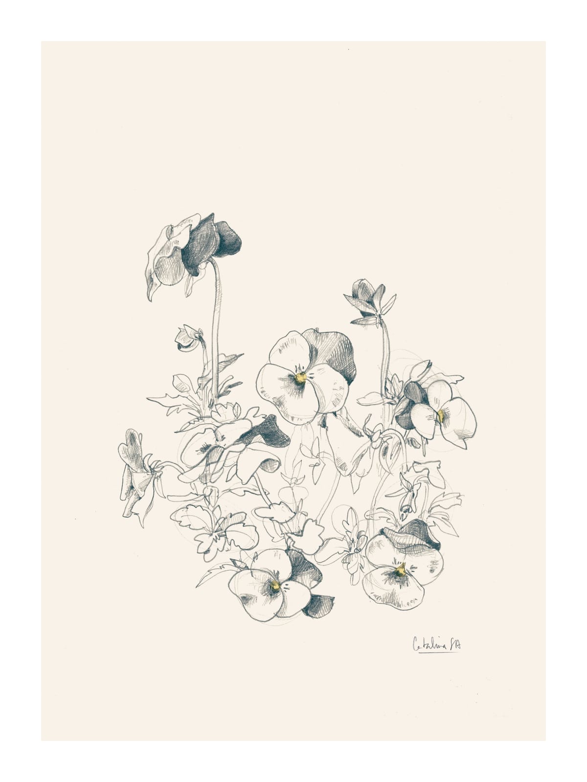 variant-30x40_with-margin
