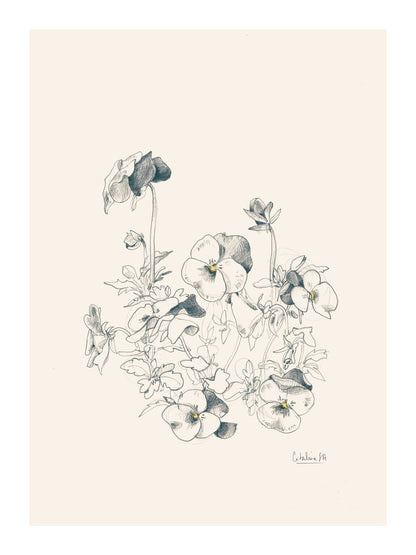 variant-30x40_with-margin
