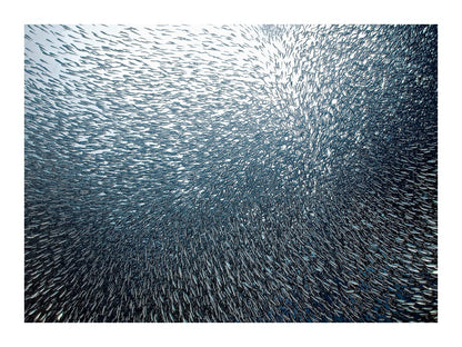 variant-30x40_with-margin