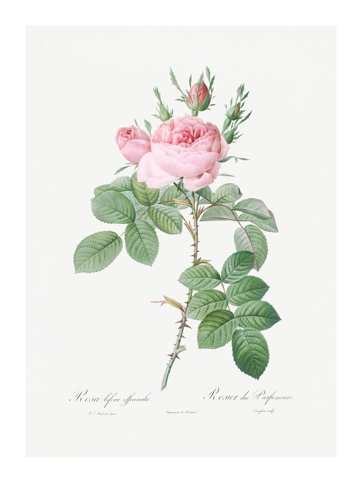variant-30x40_with-margin
