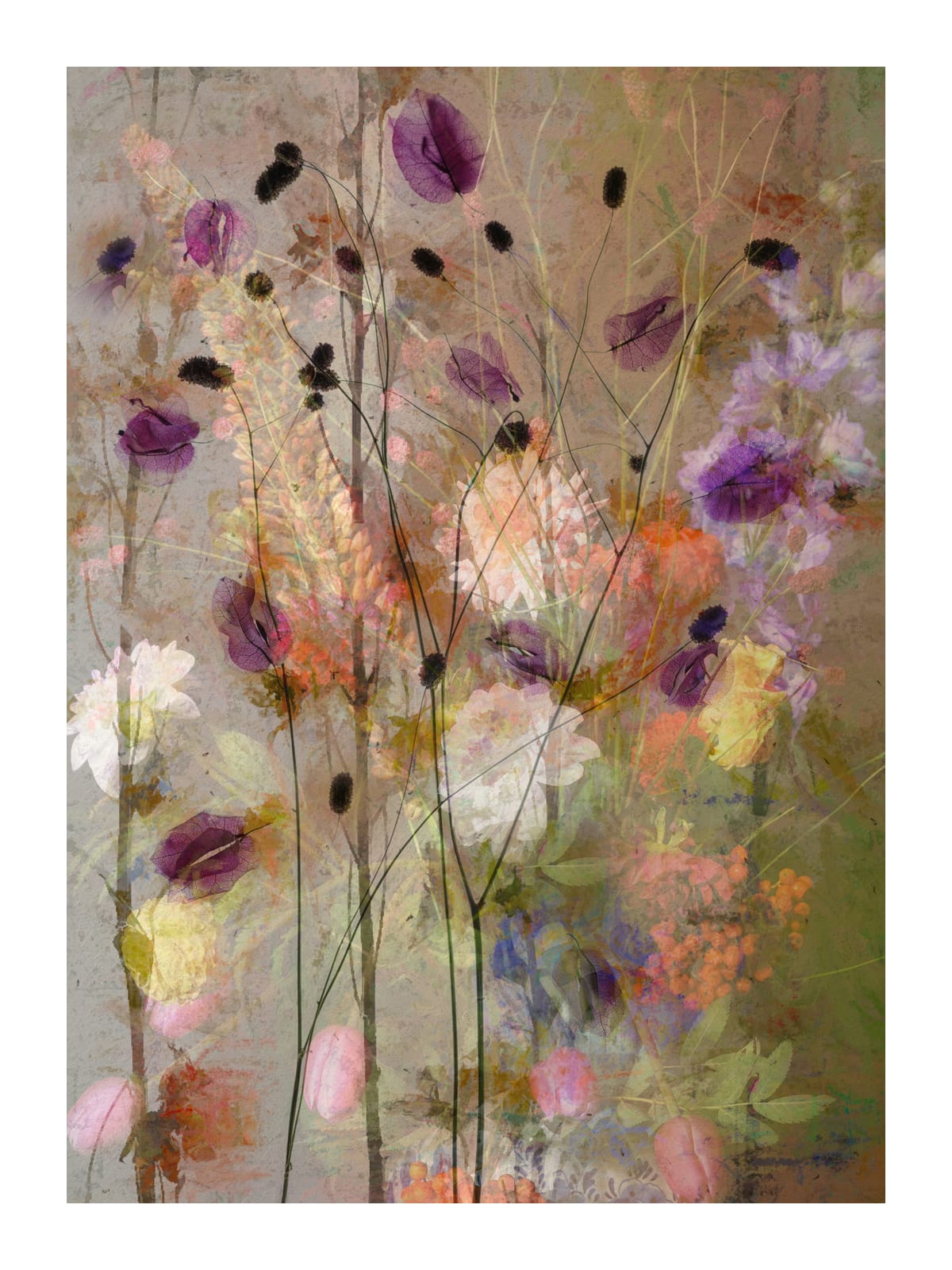 variant-30x40_with-margin