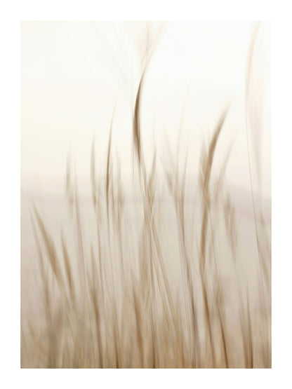 variant-30x40_with-margin