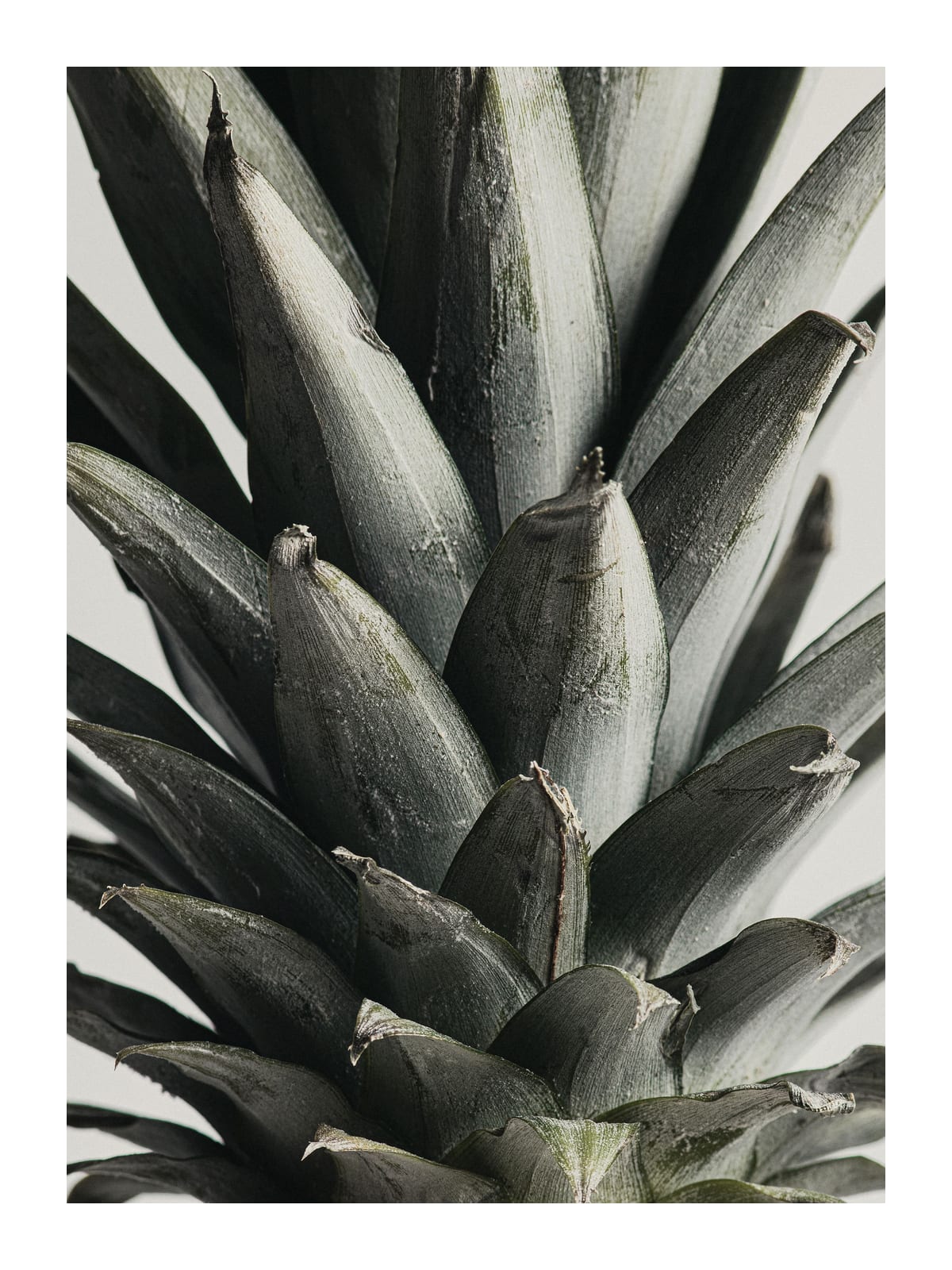 variant-30x40_with-margin