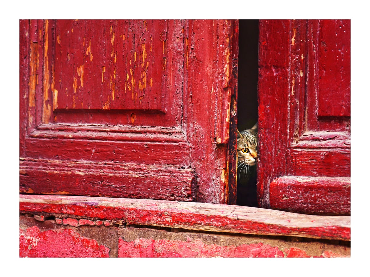 variant-30x40_with-margin