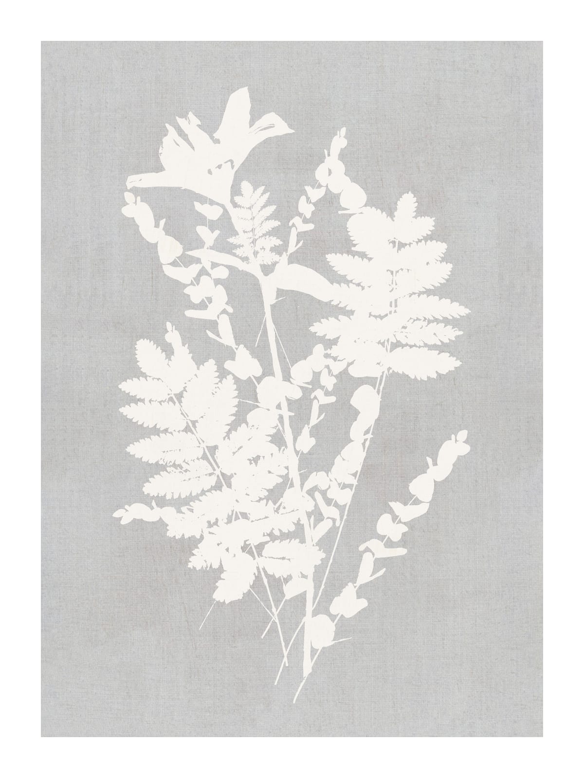 variant-30x40_with-margin