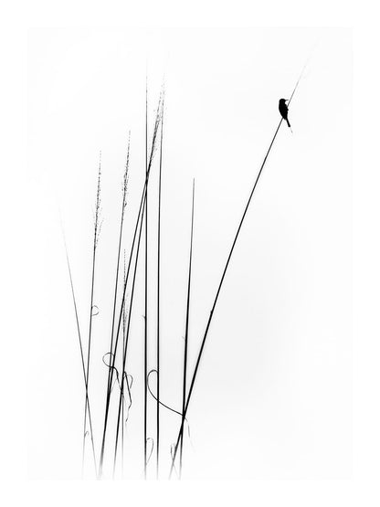 variant-30x40_with-margin