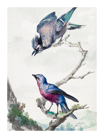 variant-30x40_with-margin