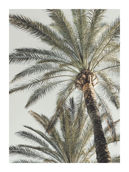 variant-30x40_with-margin