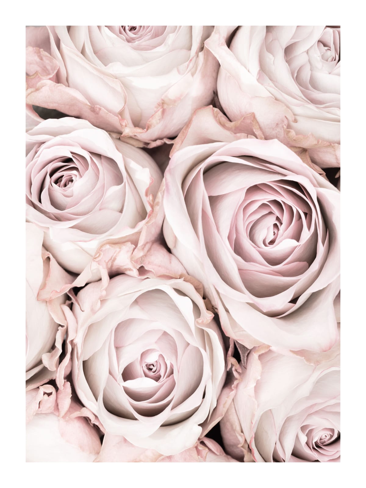 variant-30x40_with-margin