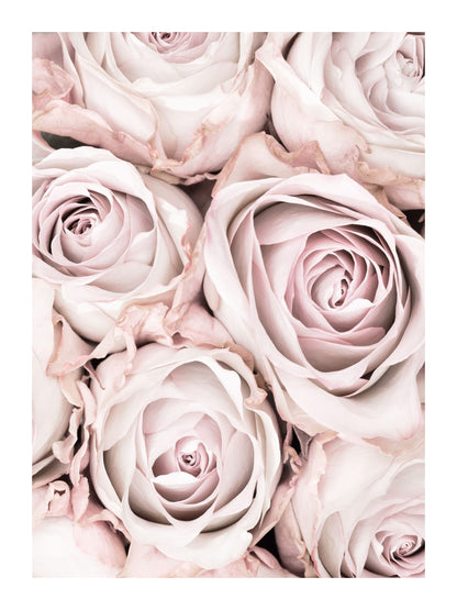 variant-30x40_with-margin