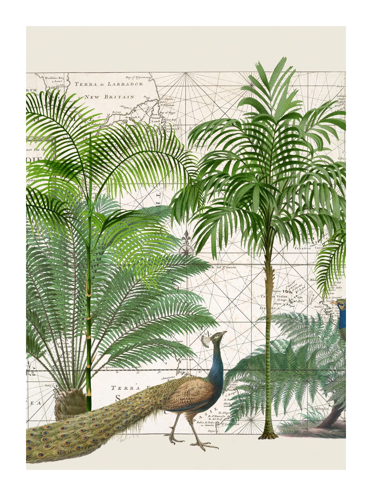 variant-30x40_with-margin