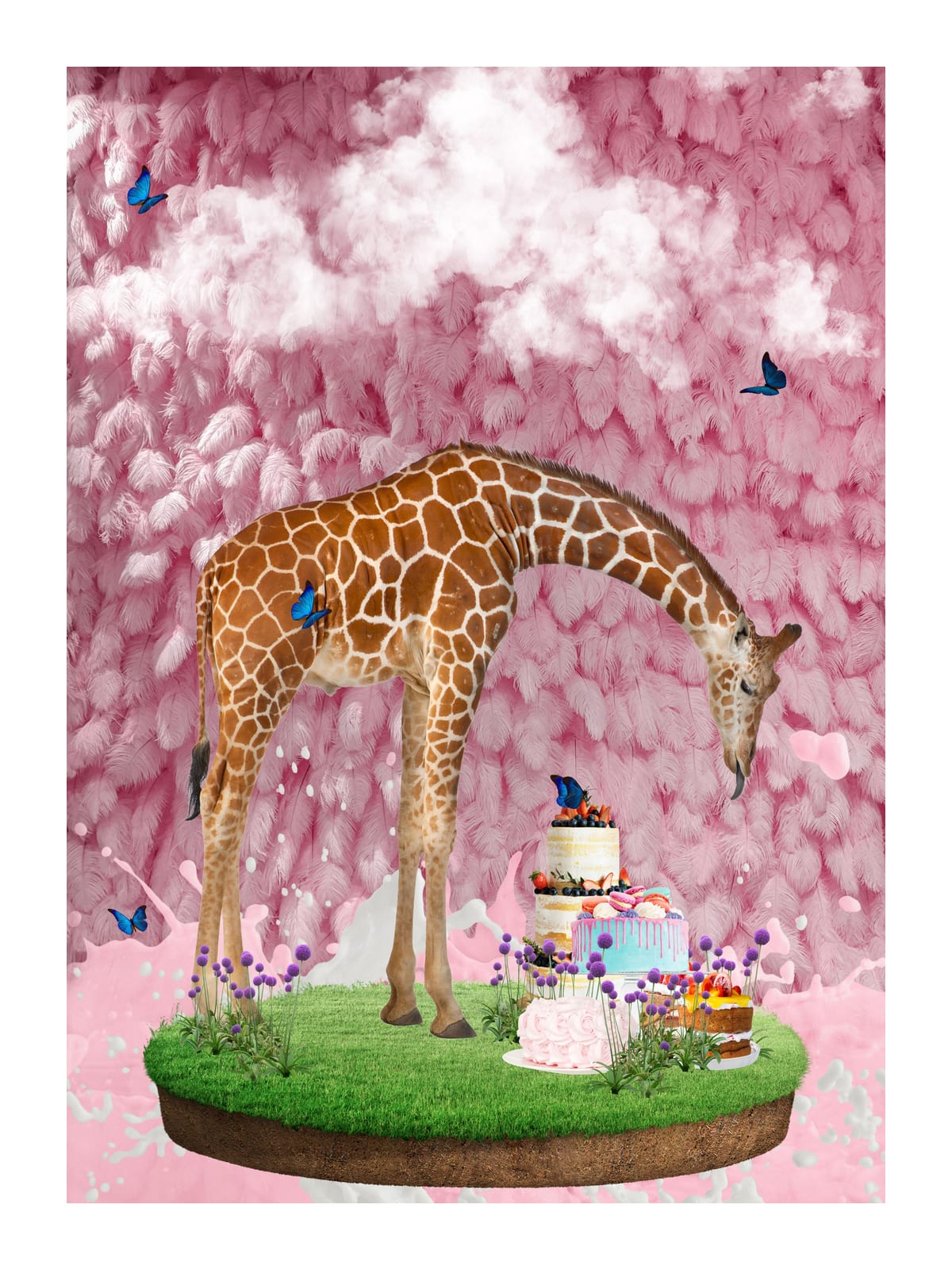 variant-30x40_with-margin