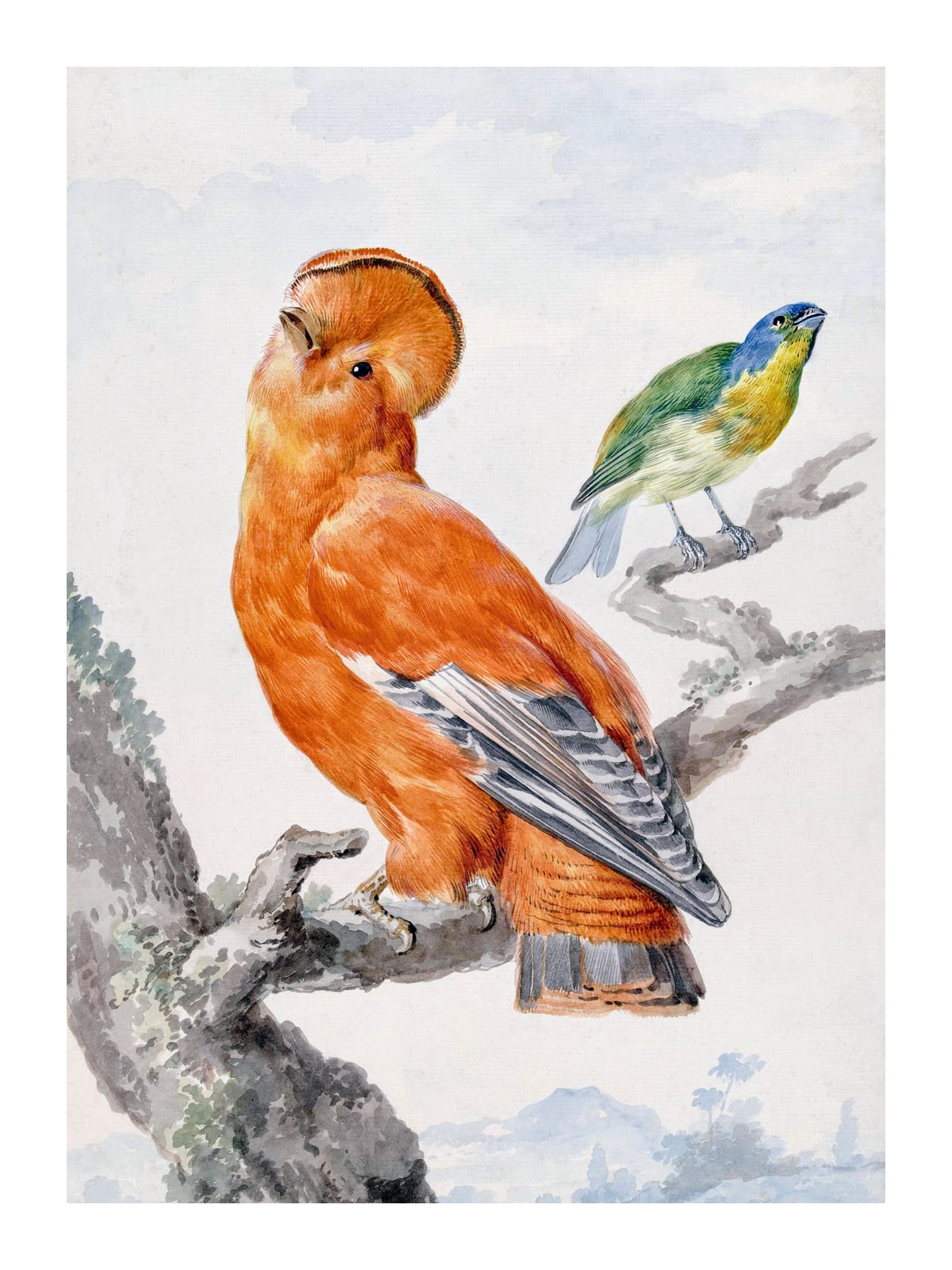 variant-30x40_with-margin