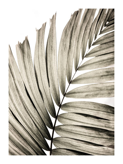 variant-30x40_with-margin