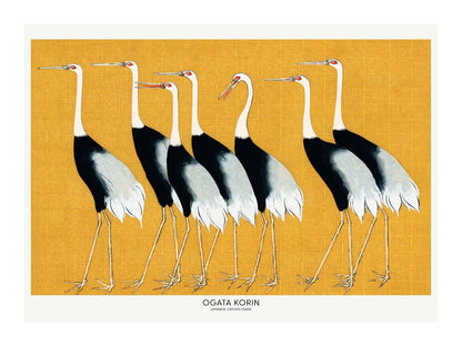 variant-30x40_with-margin