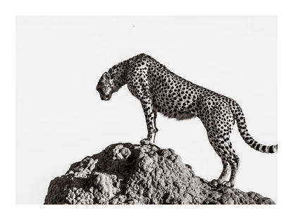 variant-30x40_with-margin