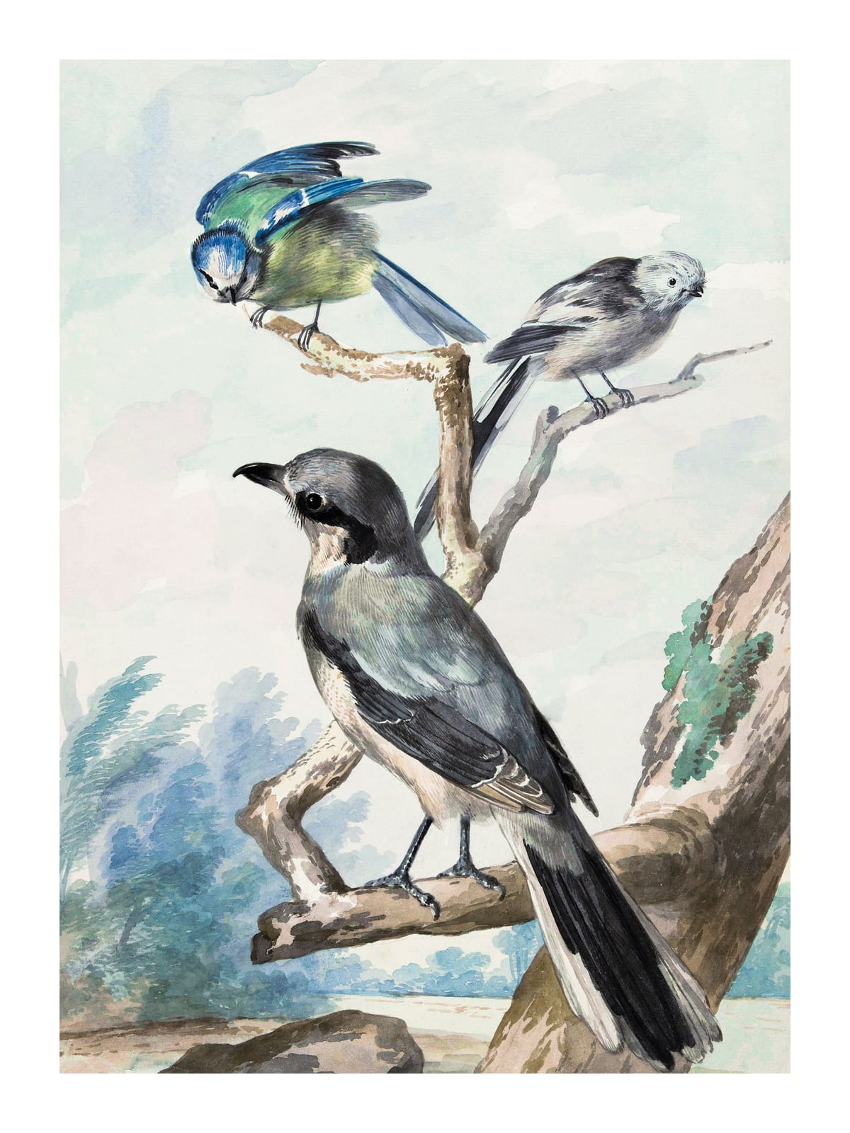 variant-30x40_with-margin
