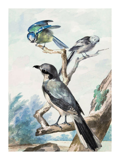 variant-30x40_with-margin
