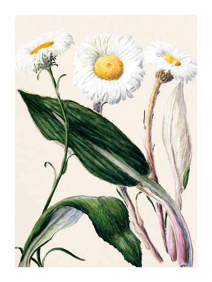variant-30x40_with-margin