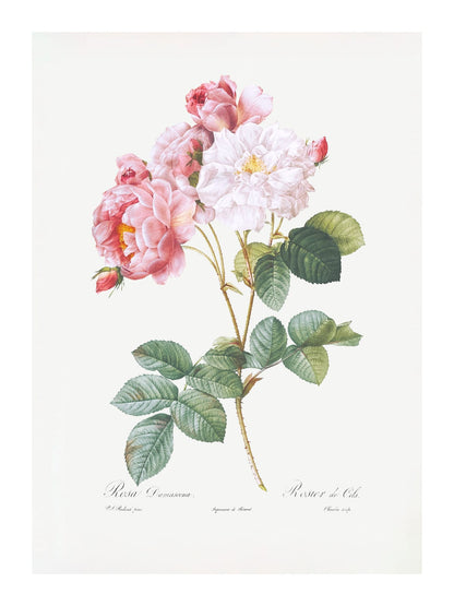 variant-30x40_with-margin