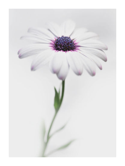 variant-30x40_with-margin